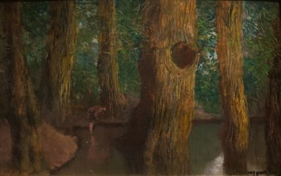 Inside_the_ForestnMagyar: Erdobelson af Laszlo Mednyanszky